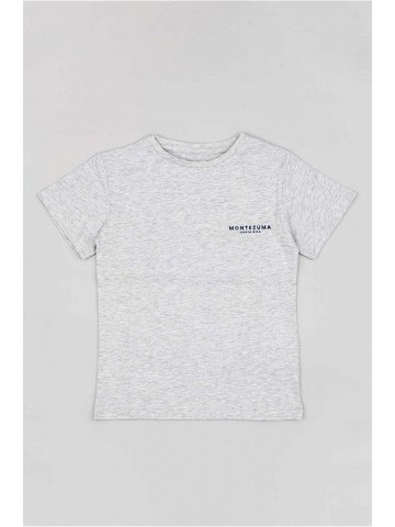 Dětské bavlněné tričko zippy šedá barva s potiskem