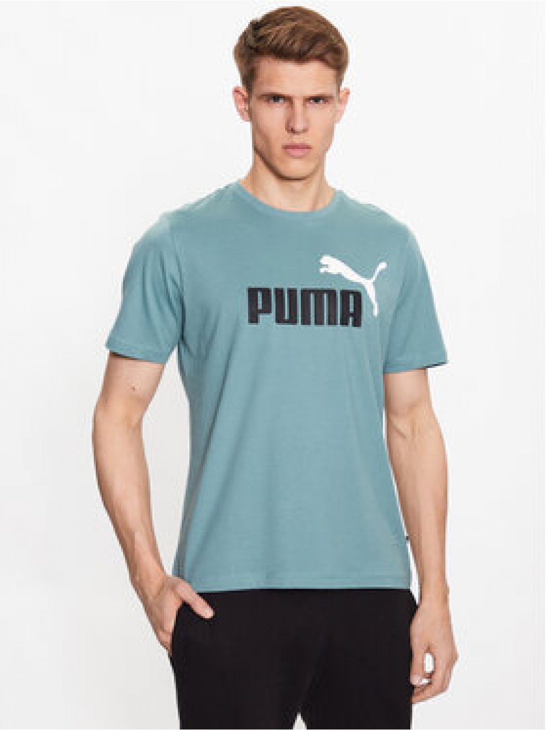 Puma T-Shirt Essentials 2 Col Logo 586759 Zelená Regular Fit