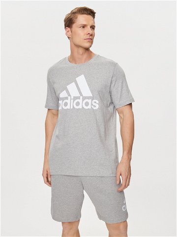 Adidas T-Shirt Essentials Single Jersey Big Logo T-Shirt IC9350 Šedá Regular Fit