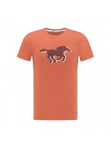 Pánské tričko Aaron C Print M 1009522 7103 – Mustang S