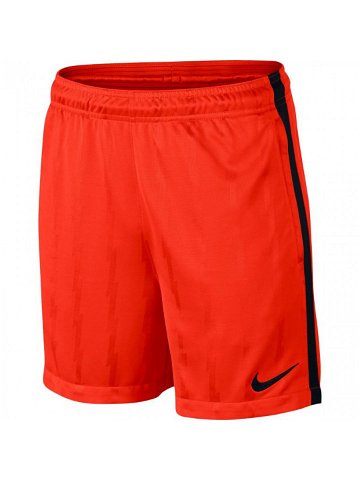 Pánské šortky Dry Squad Jacquard 870121-852 – Nike XL