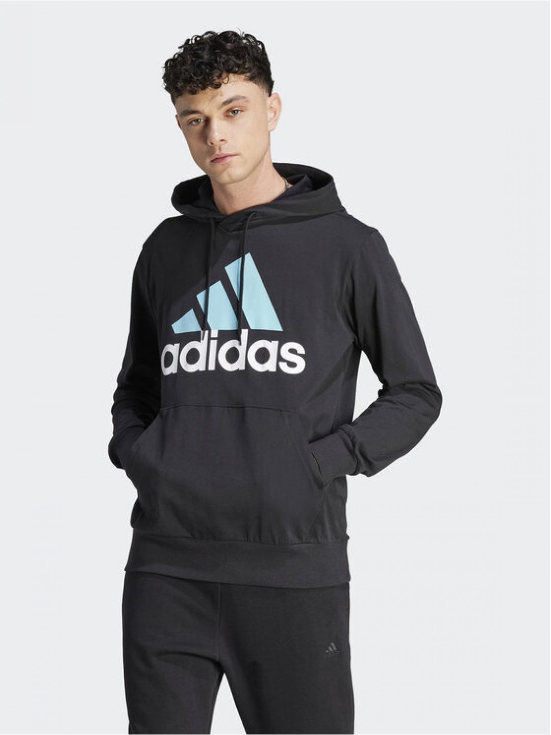 Adidas Mikina Essentials Logo Hoodie IJ8574 Černá Regular Fit