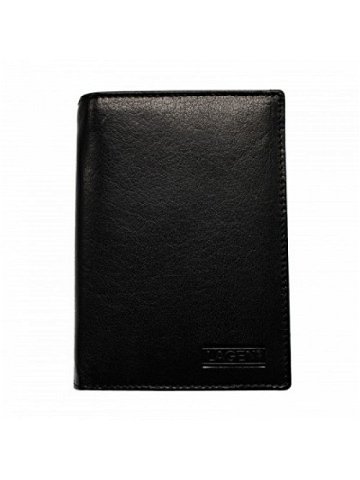 Pánská kožená peněženka V-2105 černá