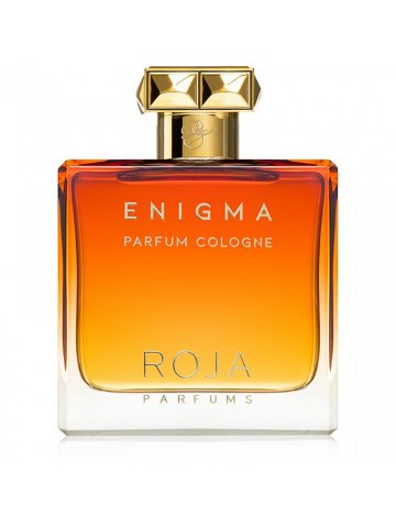 Roja Parfums Enigma Parfum Cologne kolínská voda pro muže 100 ml