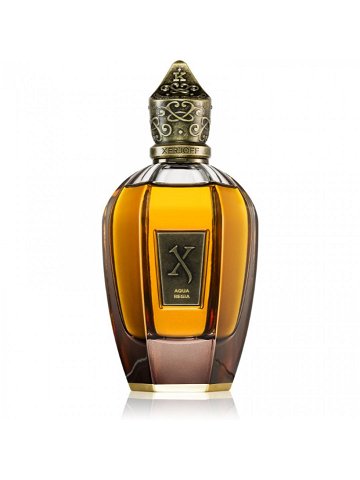 Xerjoff Aqua Regia parfém unisex 100 ml