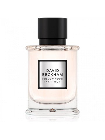 David Beckham Follow Your Instinct parfémovaná voda pro muže 50 ml