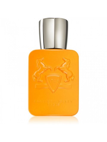 Parfums De Marly Perseus parfémovaná voda pro muže 125 ml