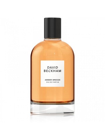 David Beckham Amber Breeze parfémovaná voda pro muže 100 ml