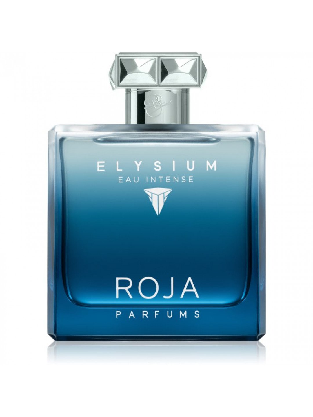 Roja Parfums Elysium Eau Intense parfémovaná voda pro muže 100 ml