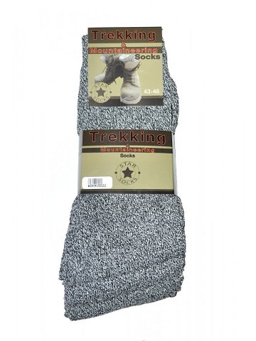 Pánské ponožky melanžově šedá 3942 model 17820950 – WiK