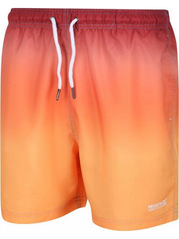 Pánské plavkové šortky Swim Short oranžové oranžová S model 18343844 – Regatta