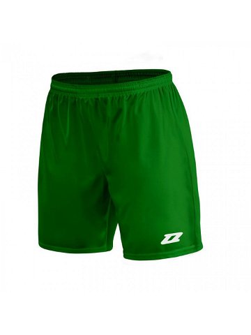Pánské šortky Iluvio Senior M Z01929 20220201120132 zelené – Zina S