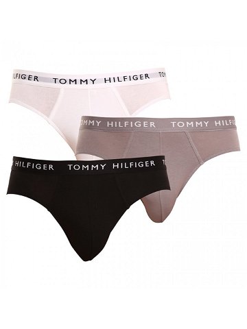 3PACK pánské slipy Tommy Hilfiger vícebarevné UM0UM02206 0TG XL