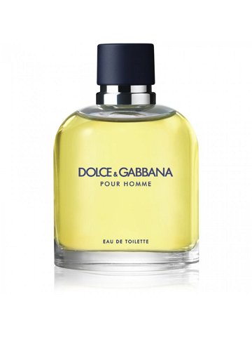 Dolce & Gabbana Pour Homme toaletní voda pro muže 75 ml