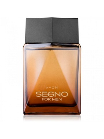 Avon Segno parfémovaná voda pro muže 75 ml