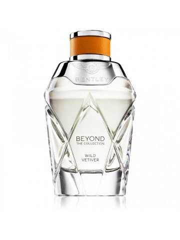 Bentley Beyond The Collection Wild Vetiver parfémovaná voda pro muže 100 ml