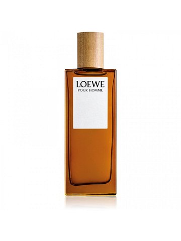 Loewe Loewe Pour Homme toaletní voda pro muže 50 ml