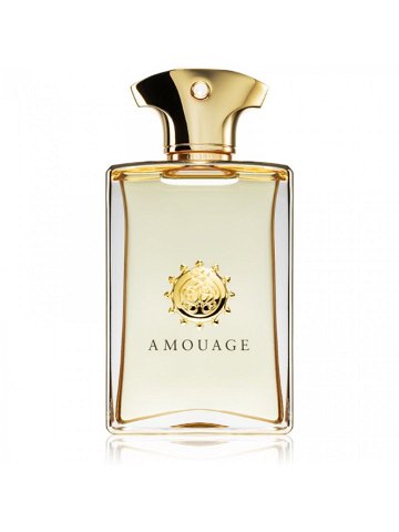 Amouage Gold parfémovaná voda pro muže 50 ml