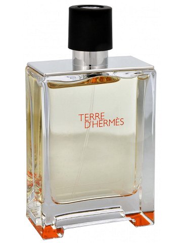 Hermes Terre D Hermes – EDT TESTER 100 ml