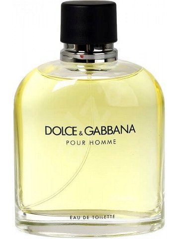 Dolce & Gabbana Pour Homme – EDT TESTER 125 ml