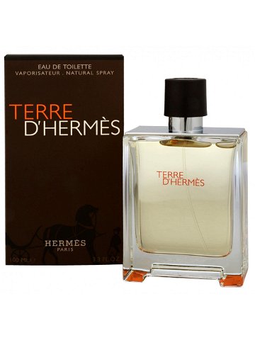 Hermes Terre D Hermes – EDT 50 ml