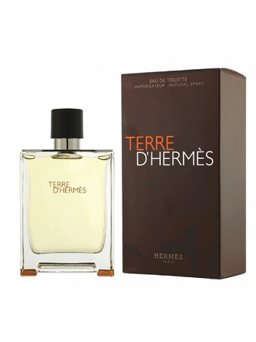 Hermes Terre D Hermes – EDT 100 ml