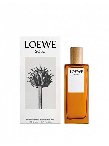 Loewe Solo Loewe – EDT 100 ml