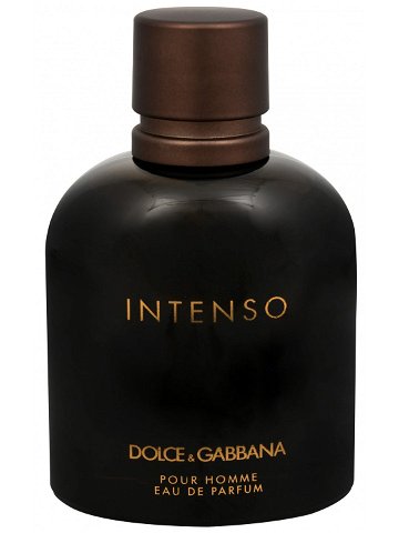 Dolce & Gabbana Pour Homme Intenso – EDP TESTER 125 ml